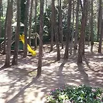 Hotel San Marco Lignano Sabbiadoro