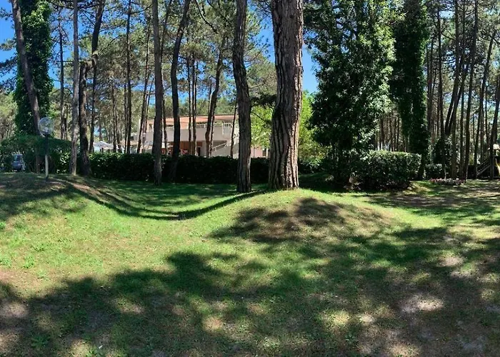 فندق San Marco 3*